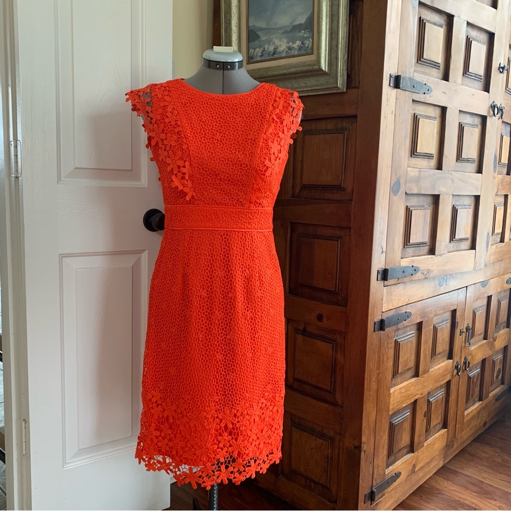 Antonio Melani Tangarine Color Crochet Overlay Sheath Dress with flutter sleeve